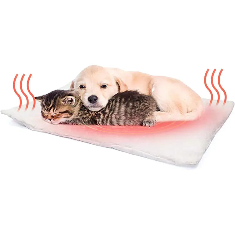 Cachorro y gatitos durmiendo juntos sobre la manta térmica que conserva su calor